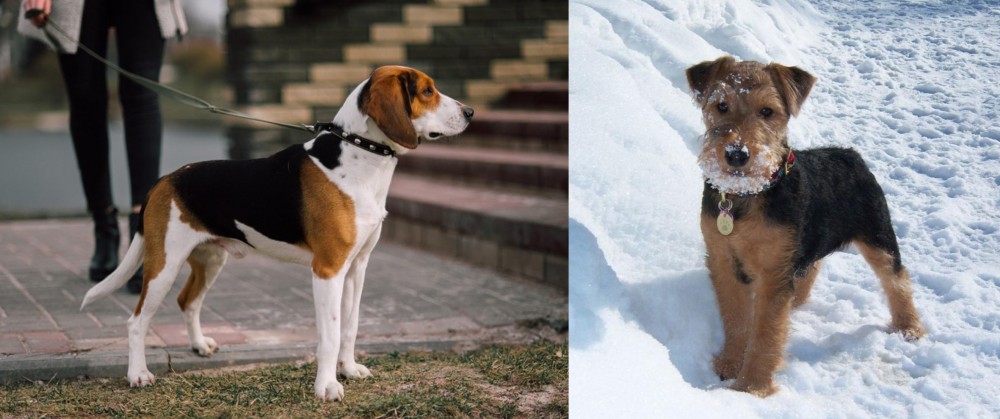 Welsh Terrier vs Estonian Hound - Breed Comparison