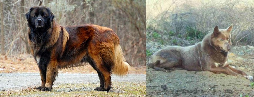Tahltan Bear Dog vs Estrela Mountain Dog - Breed Comparison
