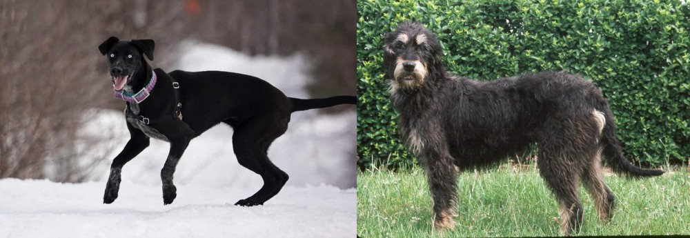 Griffon Nivernais vs Eurohound - Breed Comparison