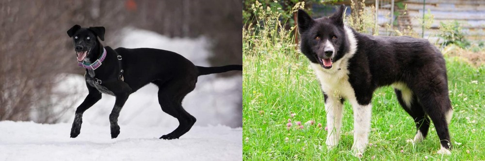 Karelian Bear Dog vs Eurohound - Breed Comparison