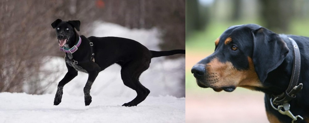 Lithuanian Hound vs Eurohound - Breed Comparison