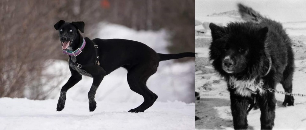 Sakhalin Husky vs Eurohound - Breed Comparison