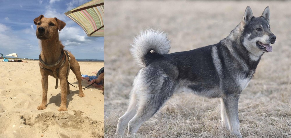 Jamthund vs Fell Terrier - Breed Comparison