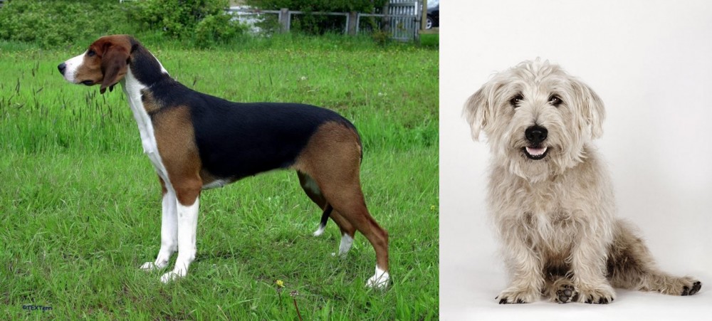 Glen of Imaal Terrier vs Finnish Hound - Breed Comparison