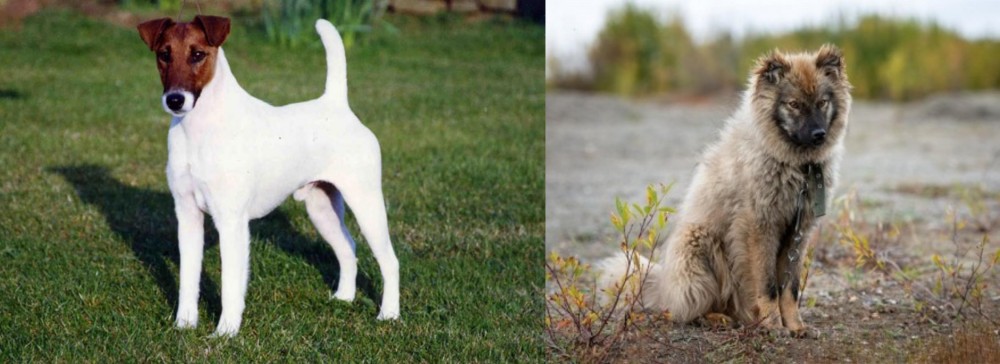Nenets Herding Laika vs Fox Terrier (Smooth) - Breed Comparison