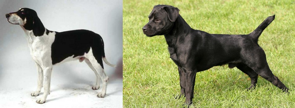 Patterdale Terrier vs Francais Blanc et Noir - Breed Comparison