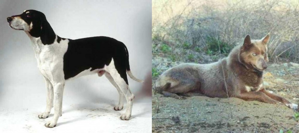 Tahltan Bear Dog vs Francais Blanc et Noir - Breed Comparison