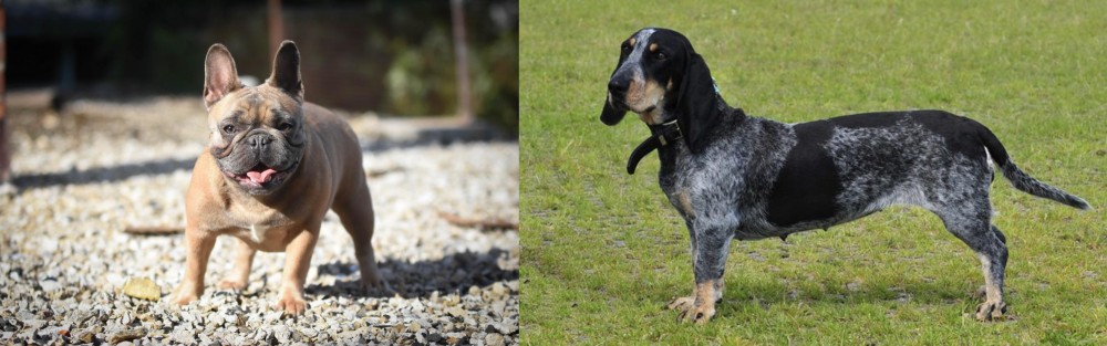 Basset Bleu de Gascogne vs French Bulldog - Breed Comparison