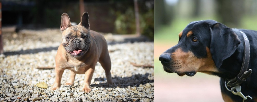 Lithuanian Hound vs French Bulldog - Breed Comparison