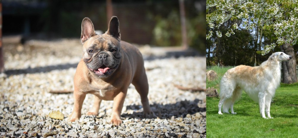 Russian Hound vs French Bulldog - Breed Comparison