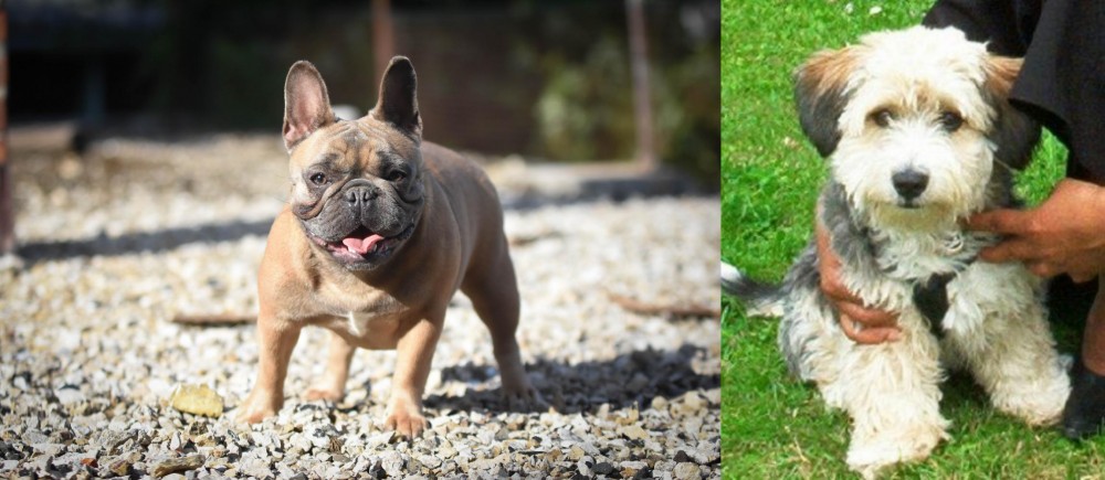 Yo-Chon vs French Bulldog - Breed Comparison