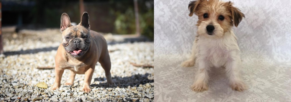 Yochon vs French Bulldog - Breed Comparison