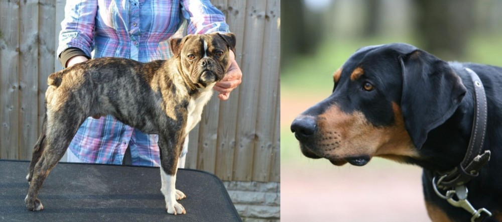 Lithuanian Hound vs Fruggle - Breed Comparison