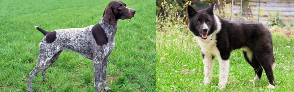 Karelian Bear Dog vs German Shorthaired Pointer - Breed Comparison