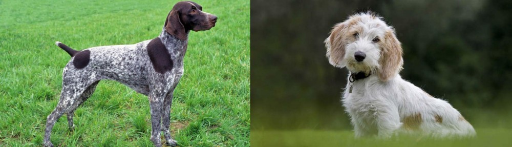 Petit Basset Griffon Vendeen vs German Shorthaired Pointer - Breed Comparison