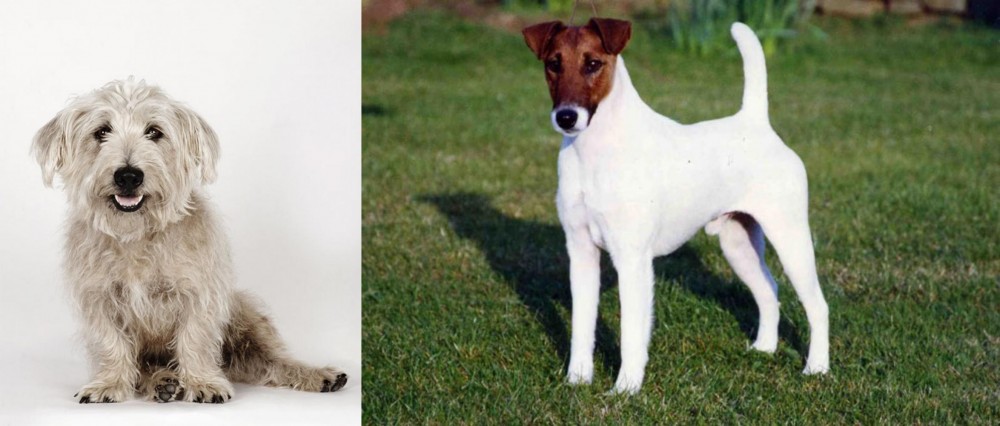 Fox Terrier (Smooth) vs Glen of Imaal Terrier - Breed Comparison