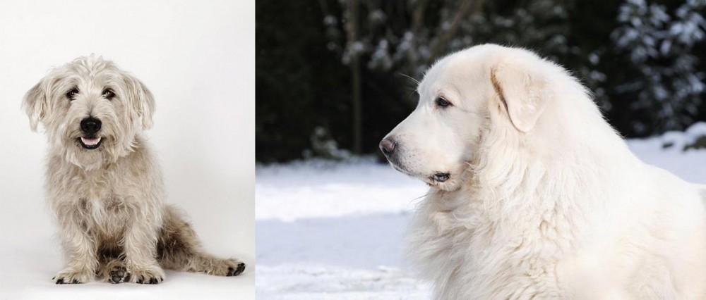 Great Pyrenees vs Glen of Imaal Terrier - Breed Comparison