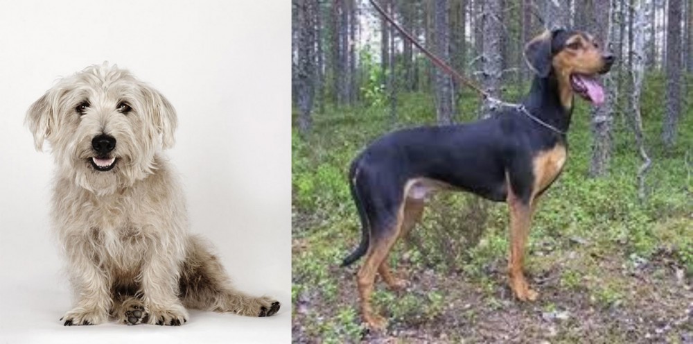 Greek Harehound vs Glen of Imaal Terrier - Breed Comparison