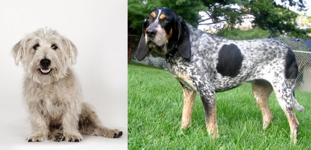 Griffon Bleu de Gascogne vs Glen of Imaal Terrier - Breed Comparison