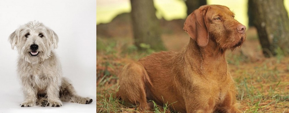 Hungarian Wirehaired Vizsla vs Glen of Imaal Terrier - Breed Comparison
