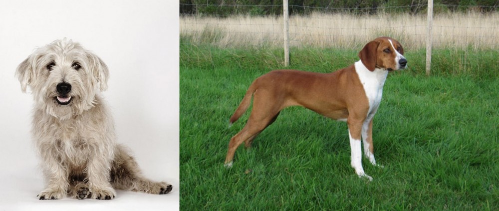 Hygenhund vs Glen of Imaal Terrier - Breed Comparison