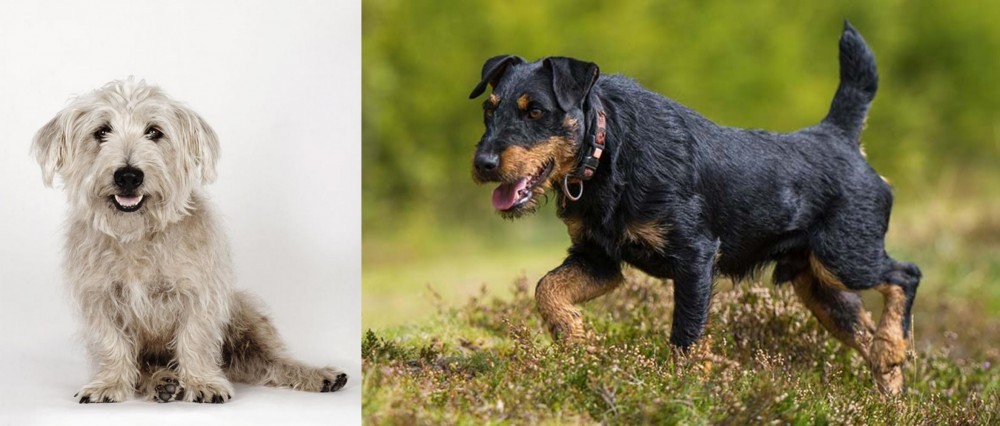 Jagdterrier vs Glen of Imaal Terrier - Breed Comparison