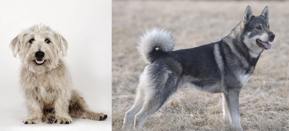 Jamthund vs Glen of Imaal Terrier - Breed Comparison