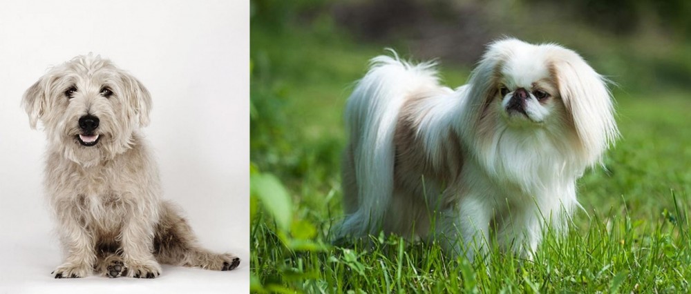 Japanese Chin vs Glen of Imaal Terrier - Breed Comparison