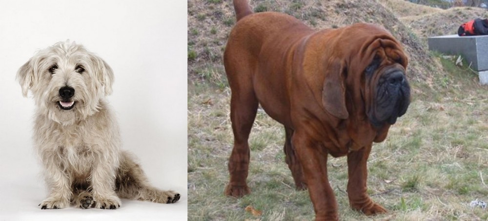 Korean Mastiff vs Glen of Imaal Terrier - Breed Comparison