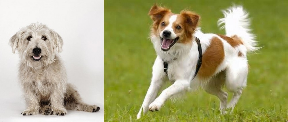 Kromfohrlander vs Glen of Imaal Terrier - Breed Comparison