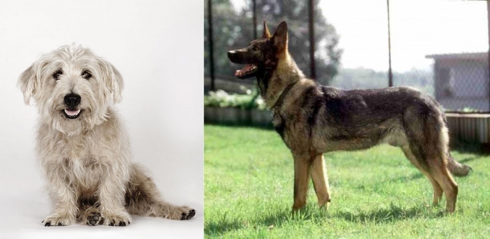 Kunming Dog vs Glen of Imaal Terrier - Breed Comparison
