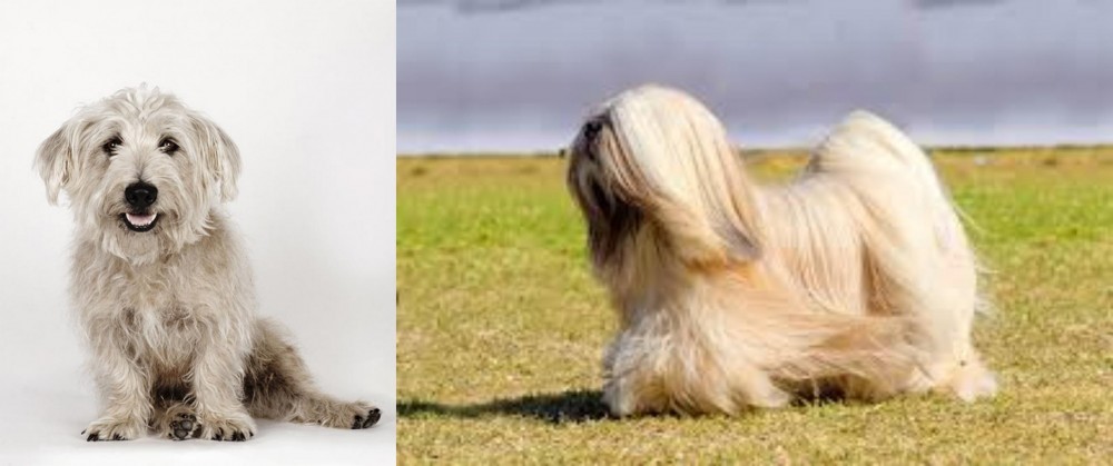 Lhasa Apso vs Glen of Imaal Terrier - Breed Comparison