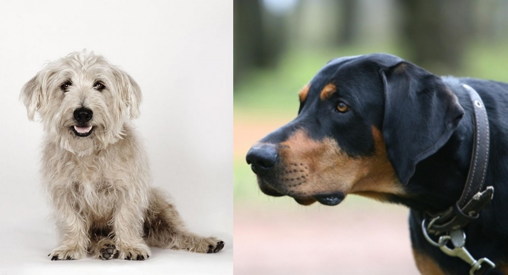 Lithuanian Hound vs Glen of Imaal Terrier - Breed Comparison