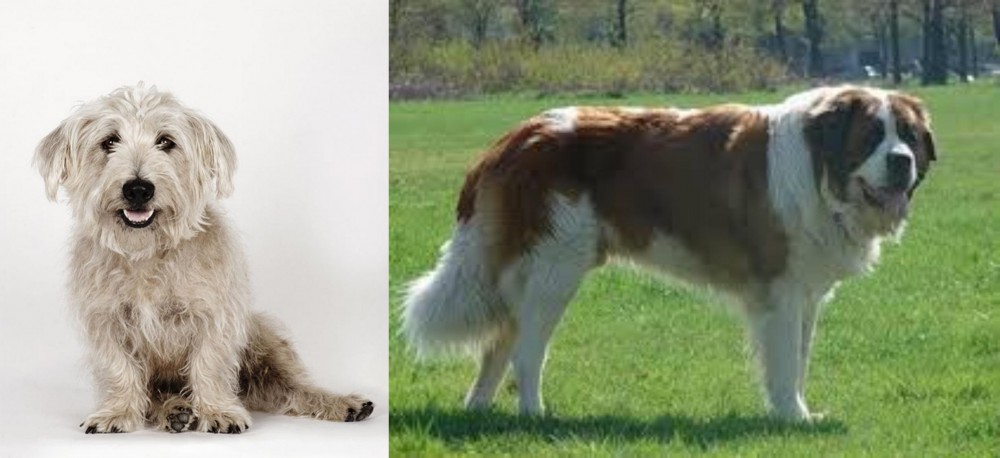 Moscow Watchdog vs Glen of Imaal Terrier - Breed Comparison