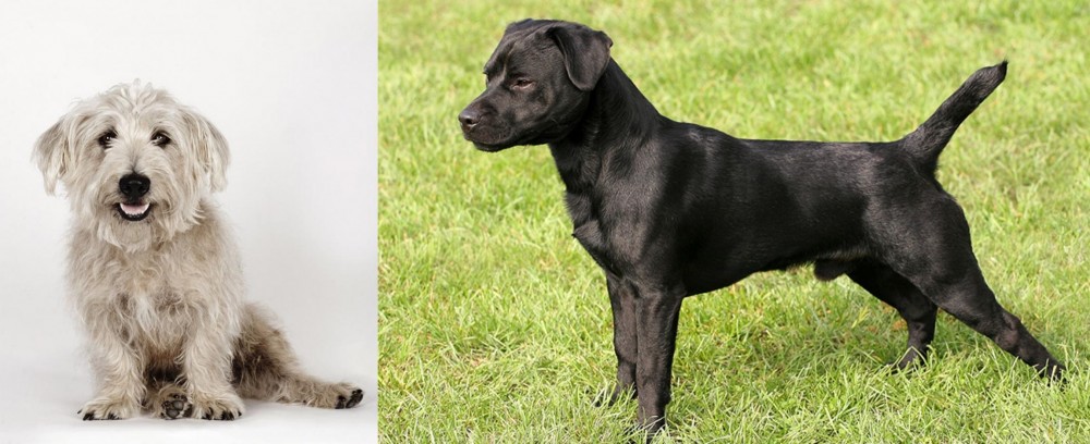 Patterdale Terrier vs Glen of Imaal Terrier - Breed Comparison