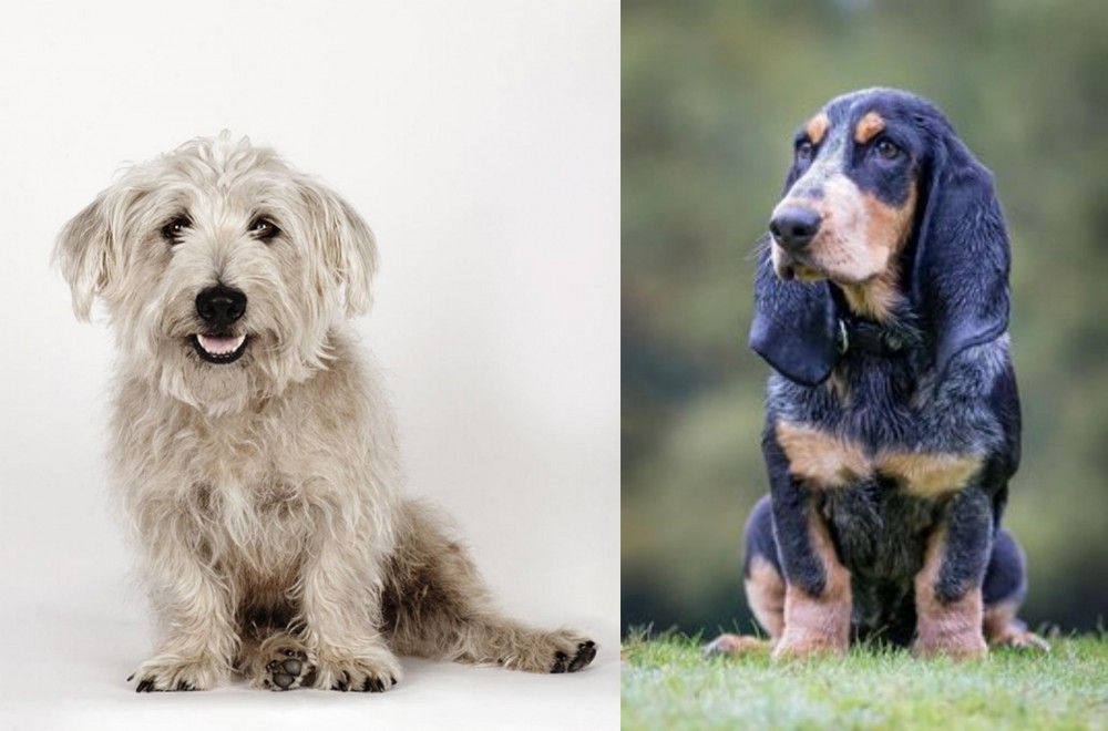 Petit Bleu de Gascogne vs Glen of Imaal Terrier - Breed Comparison