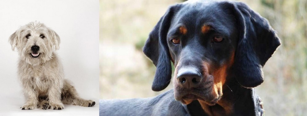 Polish Hunting Dog vs Glen of Imaal Terrier - Breed Comparison