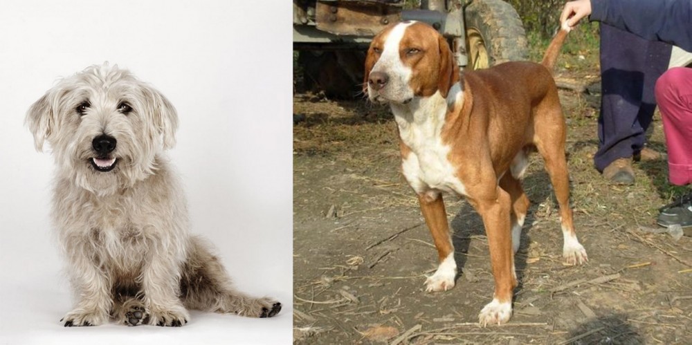 Posavac Hound vs Glen of Imaal Terrier - Breed Comparison