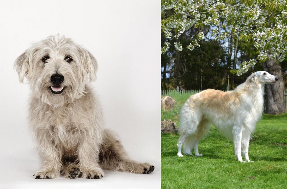 Russian Hound vs Glen of Imaal Terrier - Breed Comparison