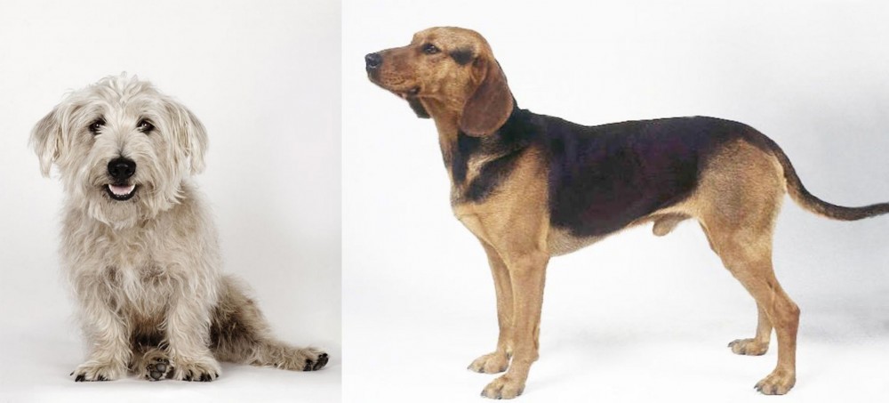 Serbian Hound vs Glen of Imaal Terrier - Breed Comparison
