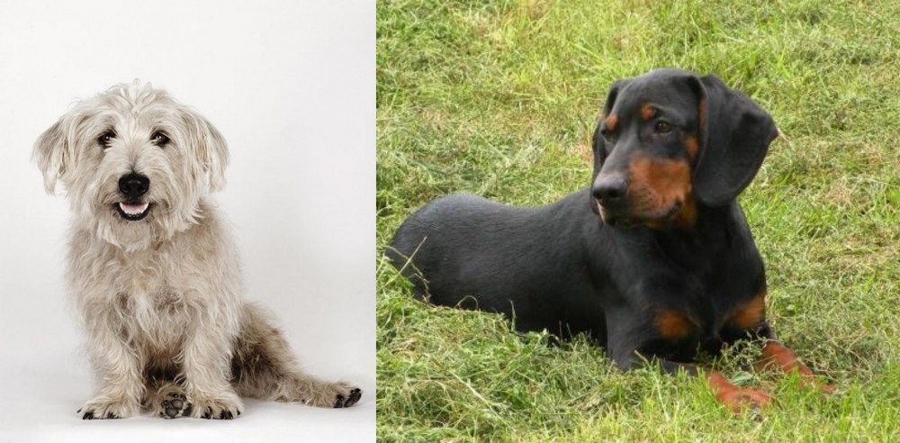 Slovakian Hound vs Glen of Imaal Terrier - Breed Comparison