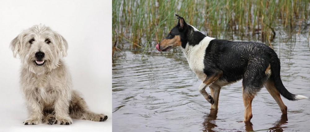 Smooth Collie vs Glen of Imaal Terrier - Breed Comparison