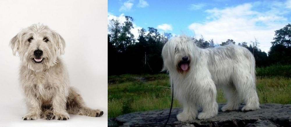 South Russian Ovcharka vs Glen of Imaal Terrier - Breed Comparison