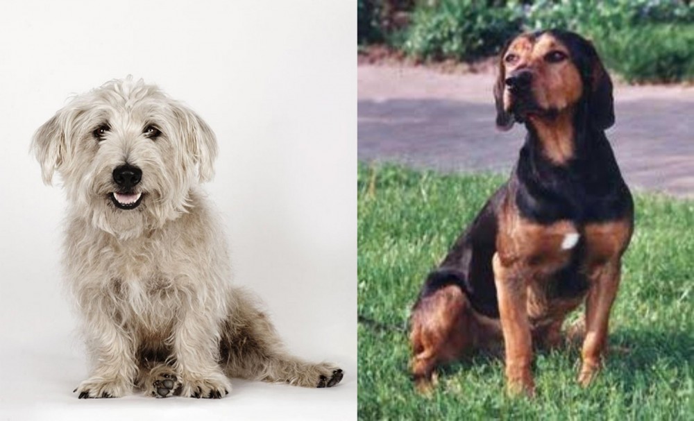 Tyrolean Hound vs Glen of Imaal Terrier - Breed Comparison