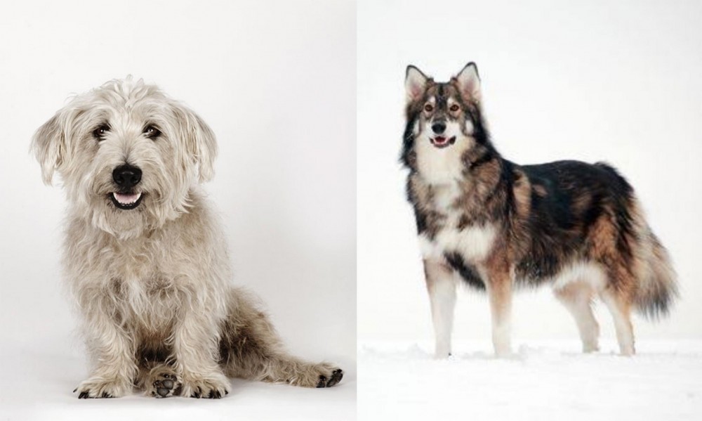 Utonagan vs Glen of Imaal Terrier - Breed Comparison