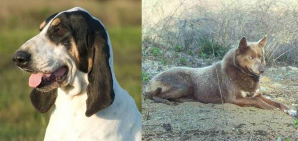 Tahltan Bear Dog vs Grand Gascon Saintongeois - Breed Comparison