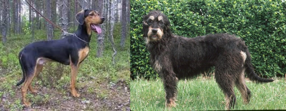 Griffon Nivernais vs Greek Harehound - Breed Comparison