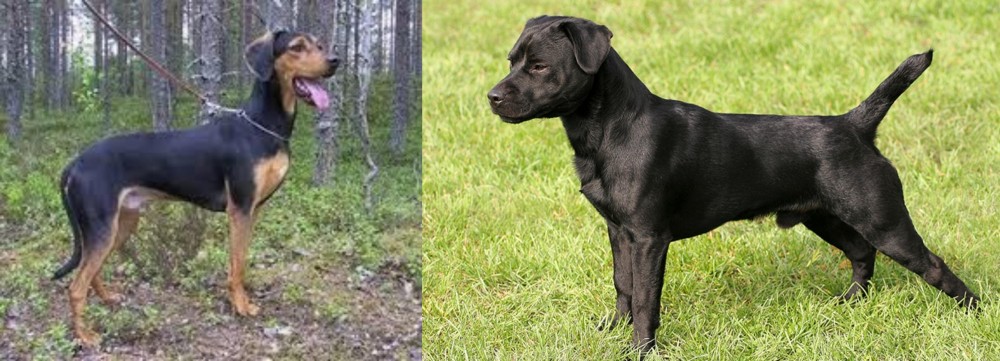 Patterdale Terrier vs Greek Harehound - Breed Comparison