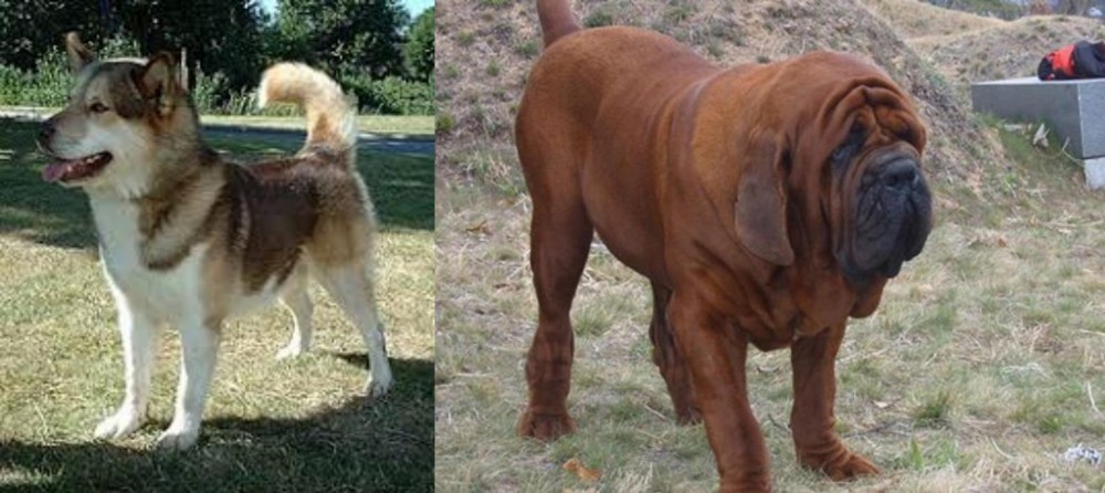 Korean Mastiff vs Greenland Dog - Breed Comparison
