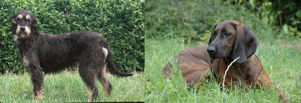 Hanover Hound vs Griffon Nivernais - Breed Comparison